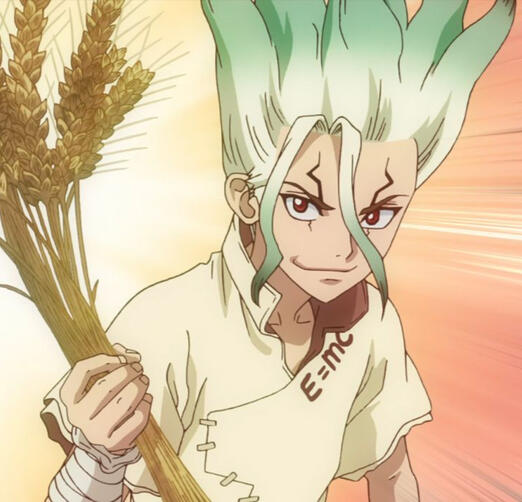 dr stone